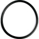 Anel De Vedação Ramos 200Mm Preto - Kit C/10 Unidades Anel De Vedação Ramos 200Mm Preto - Kit C/10 Unidades