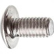 Parafuso P/Eletroduto Lentilha 1/4X3/4 C/200 Parafuso P/Eletroduto Lentilha 1/4X3/4 C/200