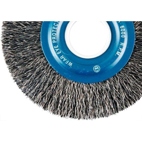 Escova Aco Brasfort Circular Aco Carbono 6X1/2 7239