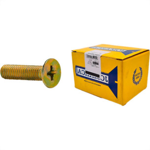 Parafuso Metrico Jmc Chata Phillips 6,0X16 - Kit C/2 Centos